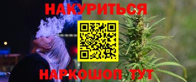 индика Дубна