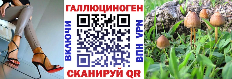 blacksprut сайт купить наркотики цена Саратов Галлюциногенные грибы прущие грибы