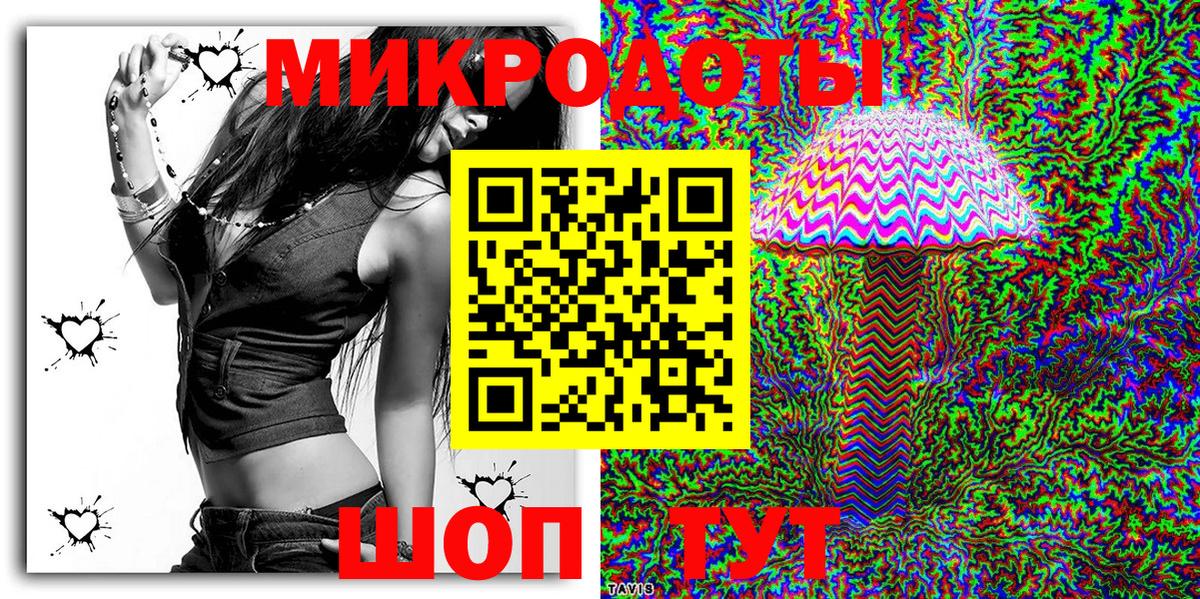 Псилоцибиновые грибы Psilocybe Саратов